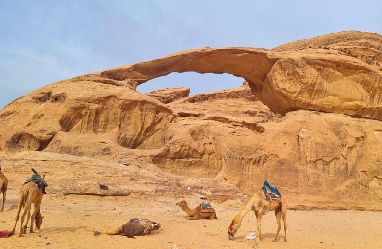 White Desert Camp Wadi Rum