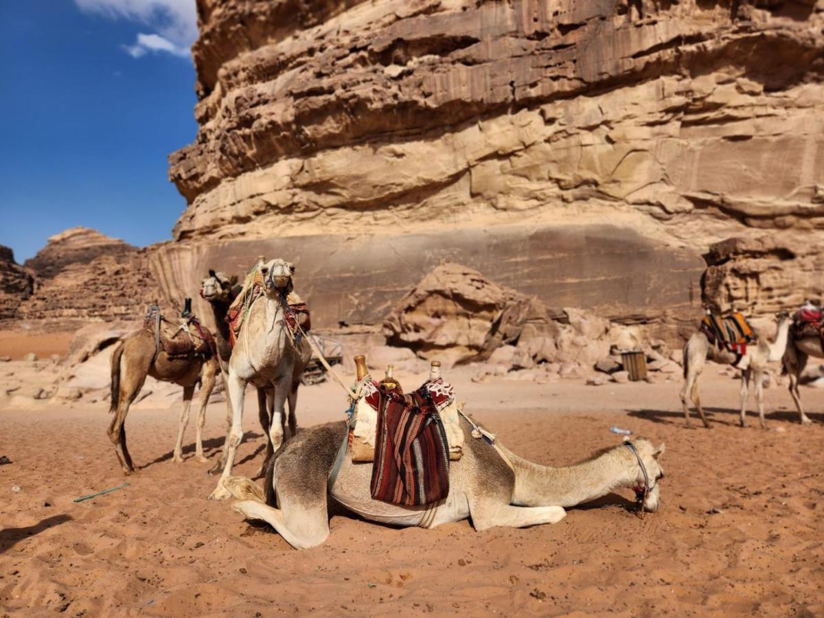 Camping White Desert Camp Wadi Rum