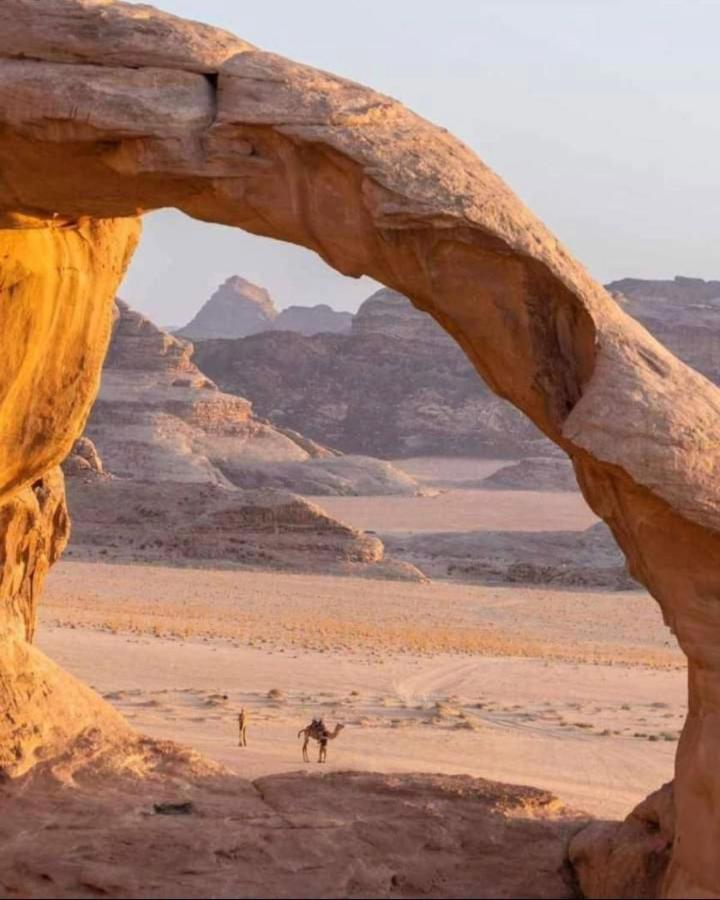 White Desert Camp Camping Wadi Rum