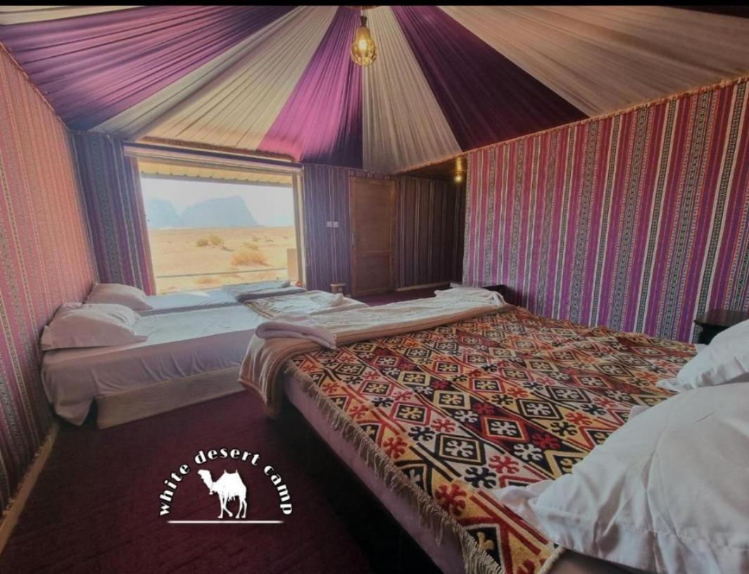 Camping White Desert Camp *