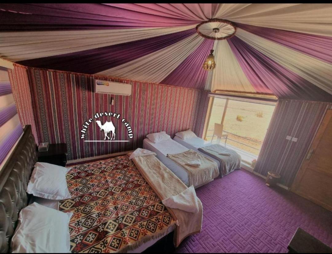 Camping White Desert Camp